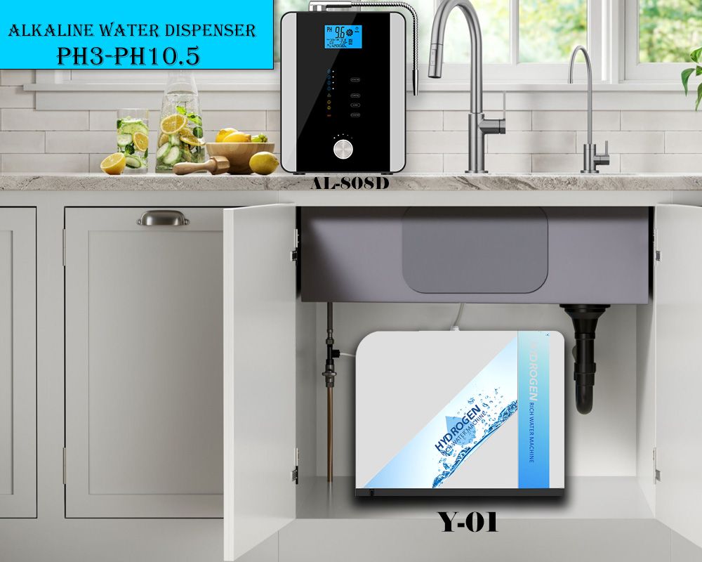 Kitchen water dispenser