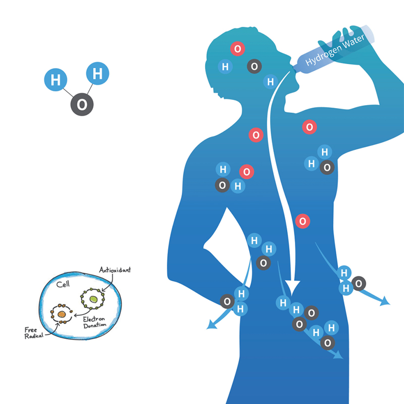 The Effects of 24-Week, High-Concentration Hydrogen-Rich Water on the Body