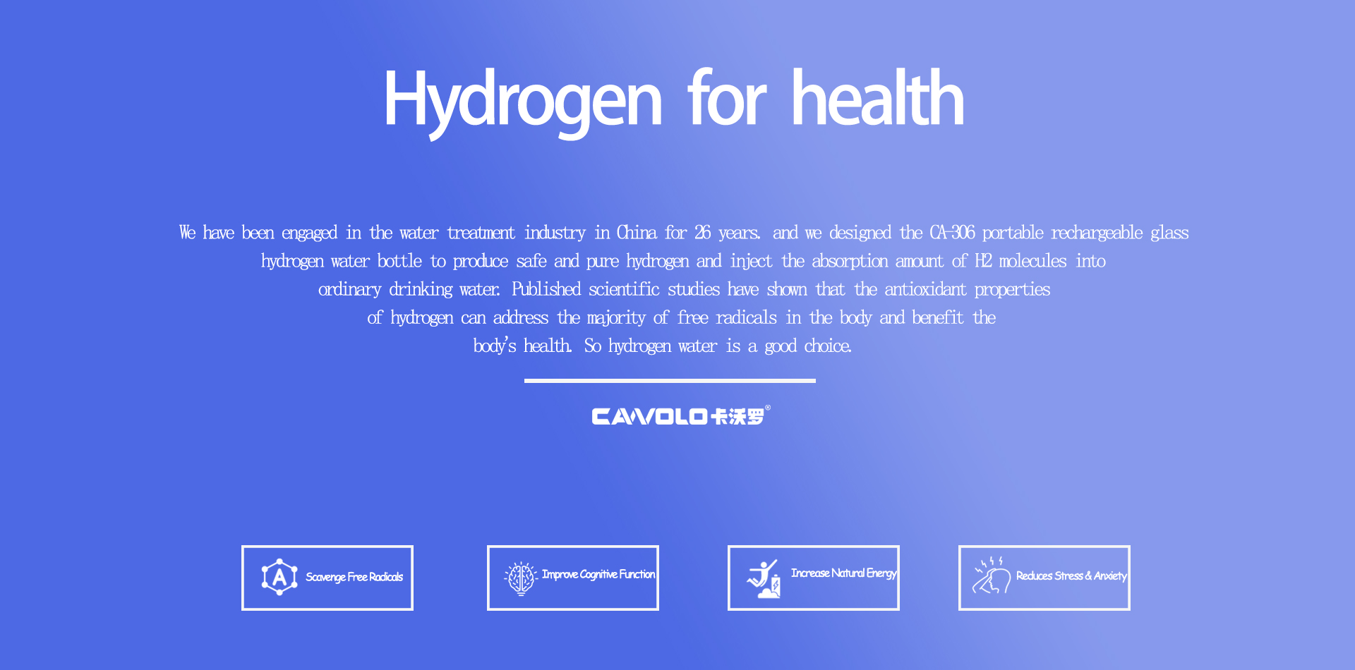Hydrogen water bottle306particulars-1