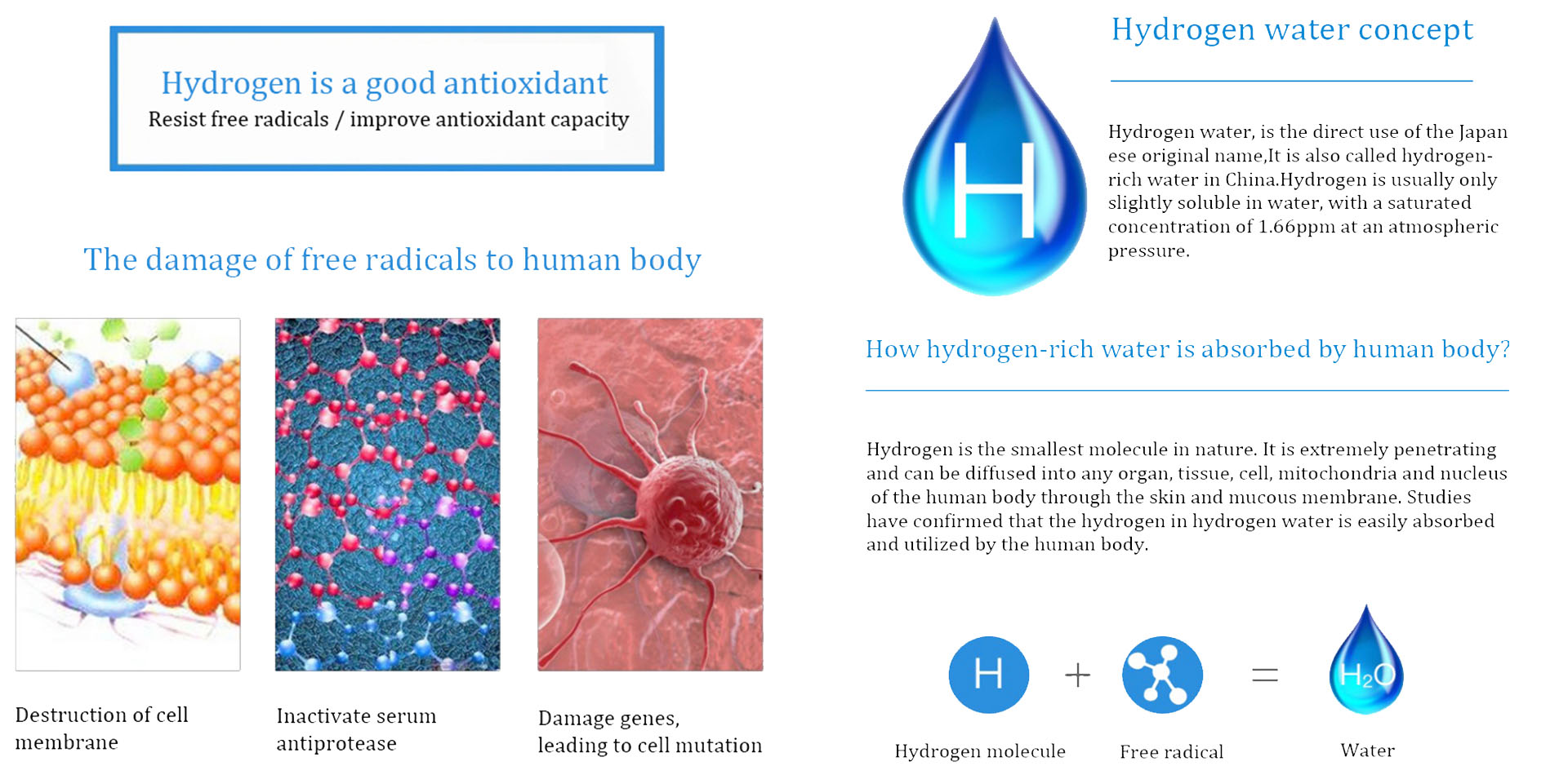 Hydrogen water bottle CA-301 particulars -2